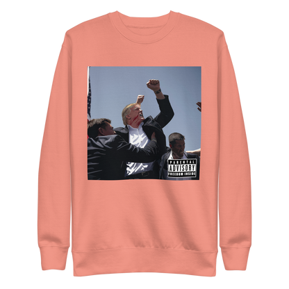 "Original Album Art" Premium Sweatshirt (unisex)